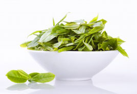 green tea is one of the recommended herbs for sleep apnea