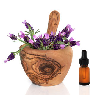 Lavender flower and tincture are useful as an herbal sleep remedy. Lavender flower and tincture are useful as an herbal sleep remedy.